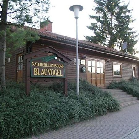Ferienhaus Nr 32, Typ A, Ferienanlage Blauvogel, Hasselfelde, Harz Exterior foto