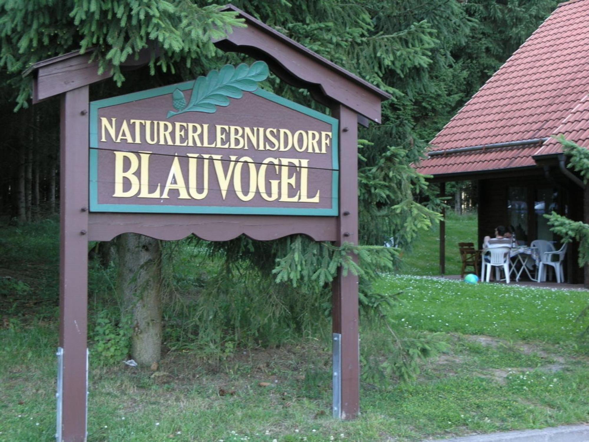 Ferienhaus Nr 32, Typ A, Ferienanlage Blauvogel, Hasselfelde, Harz Exterior foto